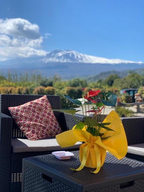 La Pomelia B&B Sofia Trappitello Exteriér fotografie