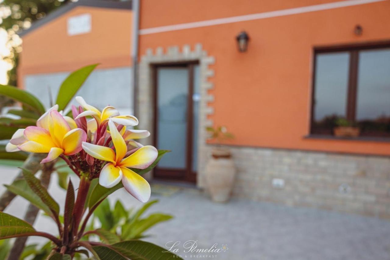 La Pomelia B&B Sofia Trappitello Exteriér fotografie