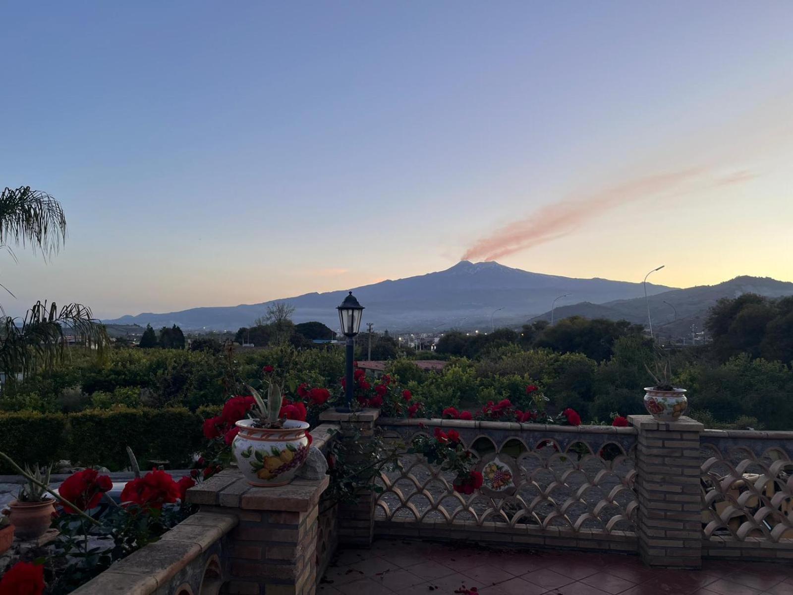 La Pomelia B&B Sofia Trappitello Exteriér fotografie